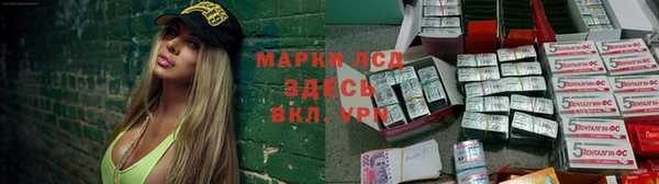винт Инта