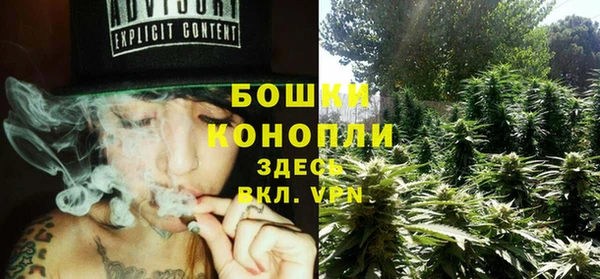 винт Инта