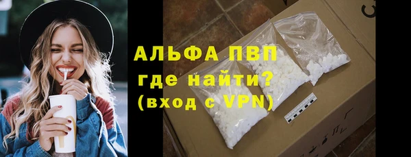 МДПВ Инсар