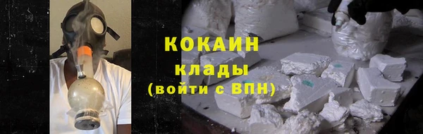 винт Инта