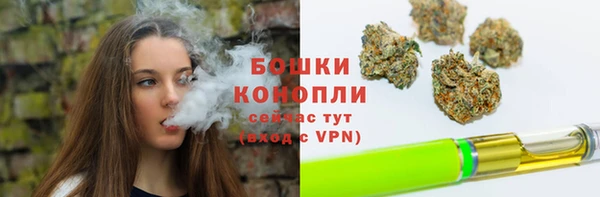 винт Инта