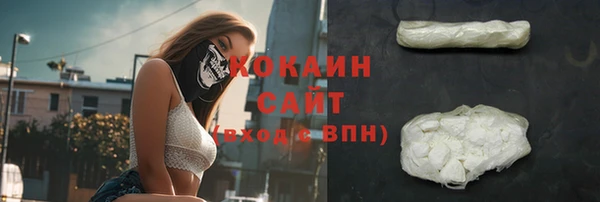 МДПВ Инсар