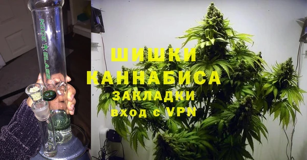винт Инта