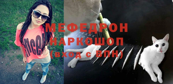 ALPHA PVP Няндома