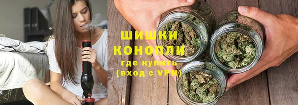 МДПВ Инсар