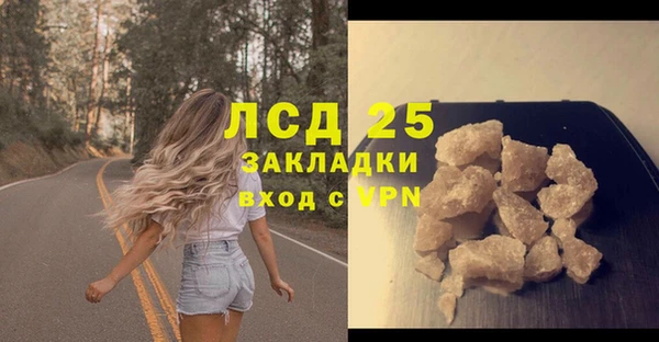 МДПВ Инсар