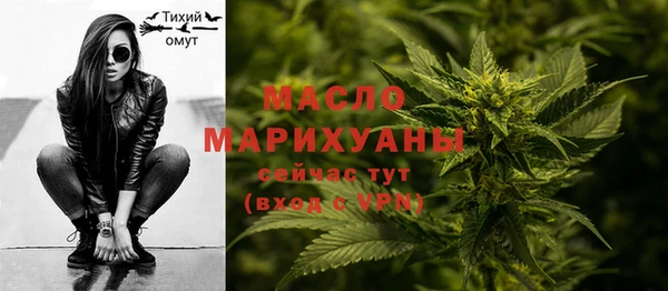 винт Инта