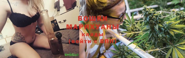 винт Инта