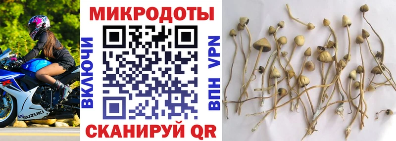 Псилоцибиновые грибы Magic Shrooms где купить наркотик Ишимбай